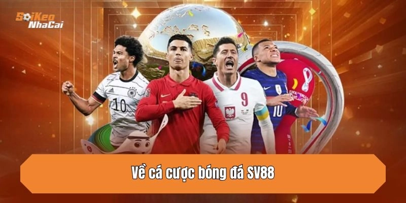 Về cá cược bóng đá SV88 
