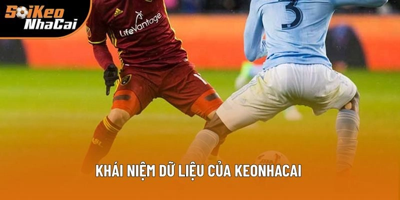 Định nghĩa cơ bản dữ liệu của keonhacai