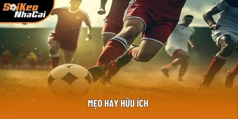 Mẹo hay nên dùng để tận dụng triệt để nhằm thu về lợi nhuận