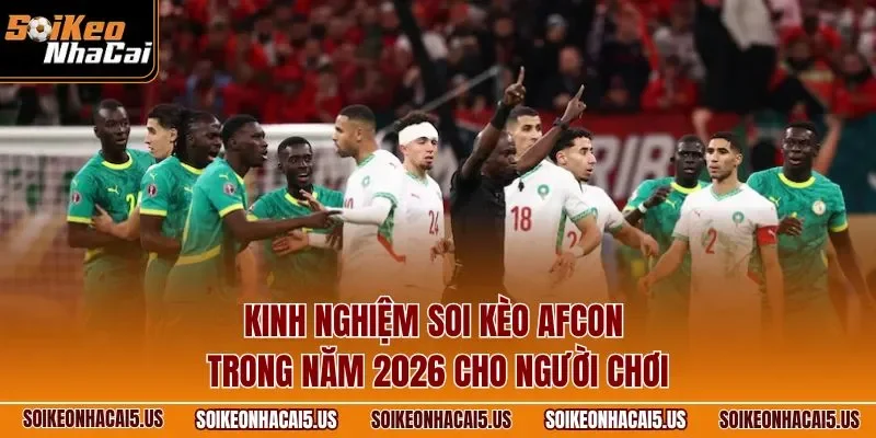 Kinh nghiệm soi kèo AFCON trong năm 2026 cho người chơi